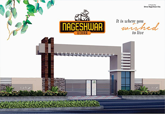 Nageshwar Vihar